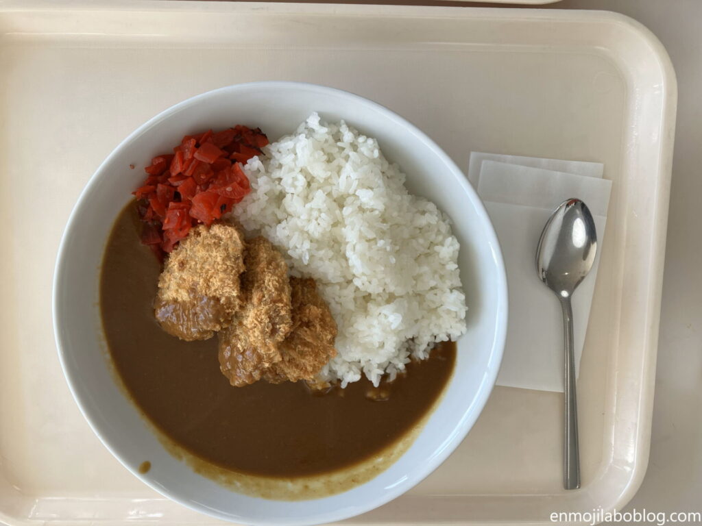 かぐらスキー場ヒレカツカレー