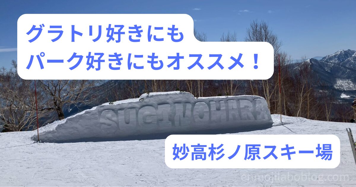 【妙高杉ノ原スキー場】パークが充実！グラトリ・キッカー・ジブ全て楽しめるゲレンデ