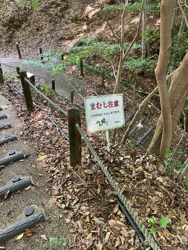 二俣城の道