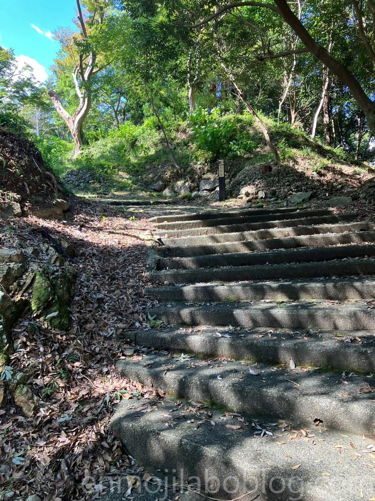 鳥羽山城の大手道