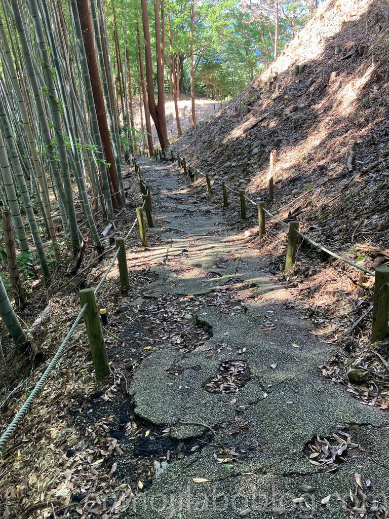二俣城の道